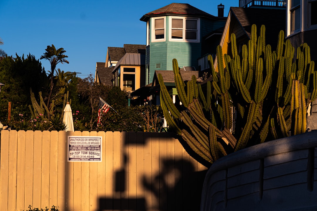 In redistricting vote, some Californians fear losing out, others want to face Trump