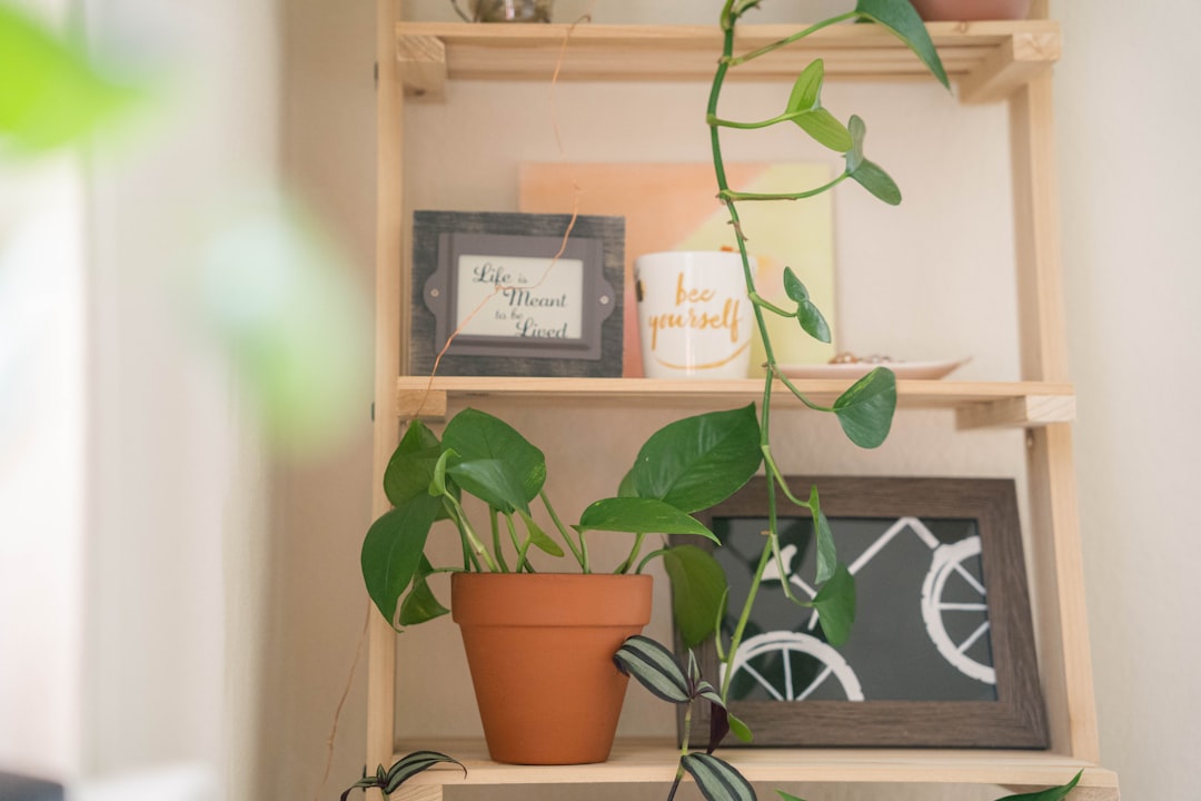 Build a Sustainable Closet: Practical Steps