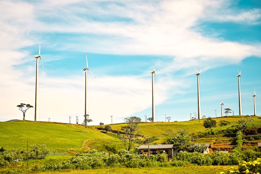 How Renewable Energy Is Shaping the US in 2025