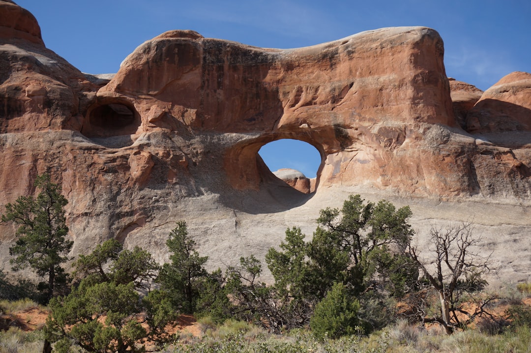 Hidden Gems: US National Parks to Explore in 2025