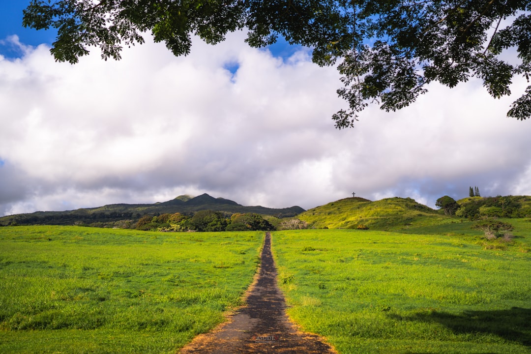 Mindful Living: A Path to Better Productivity