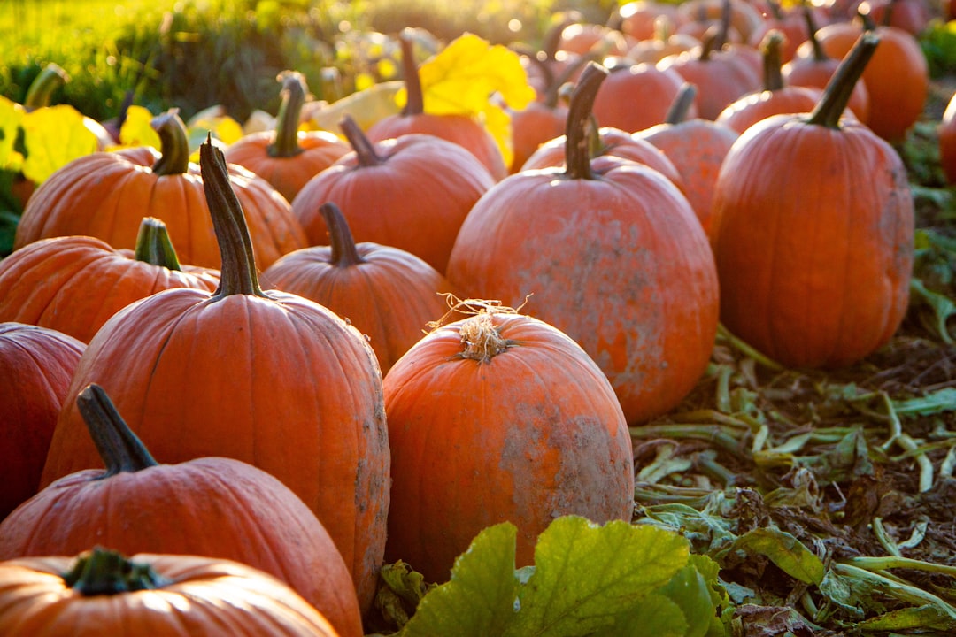 November Sees Drop in Consumer Sentiment: Survey  