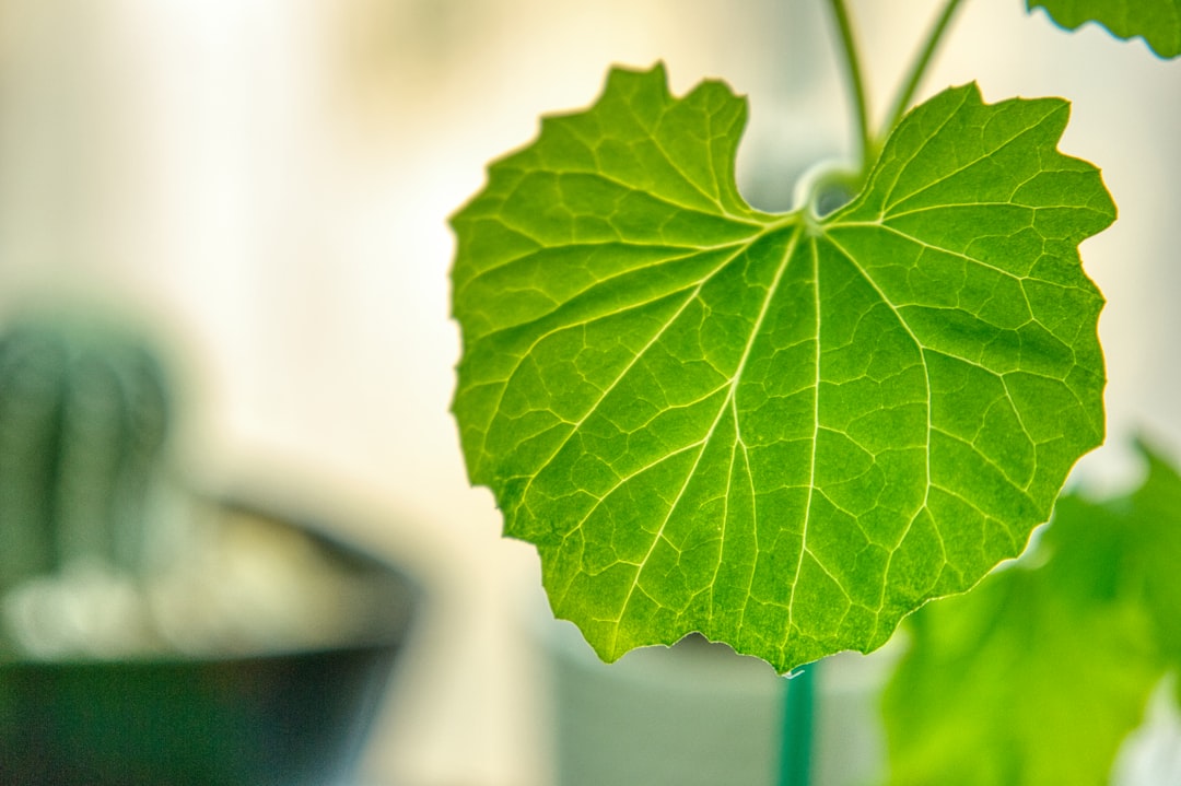 Practical Tips to Lower Your Carbon Impact