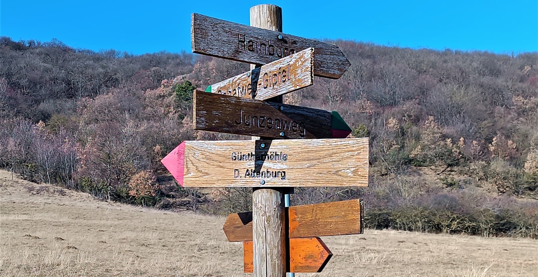 Frameworks for Decision-Making in Uncertainty