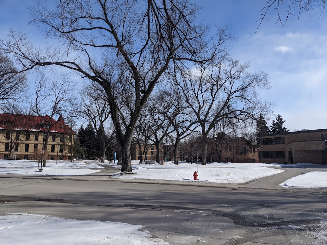 # North Dakota Supreme Court Backs Abortion Ban