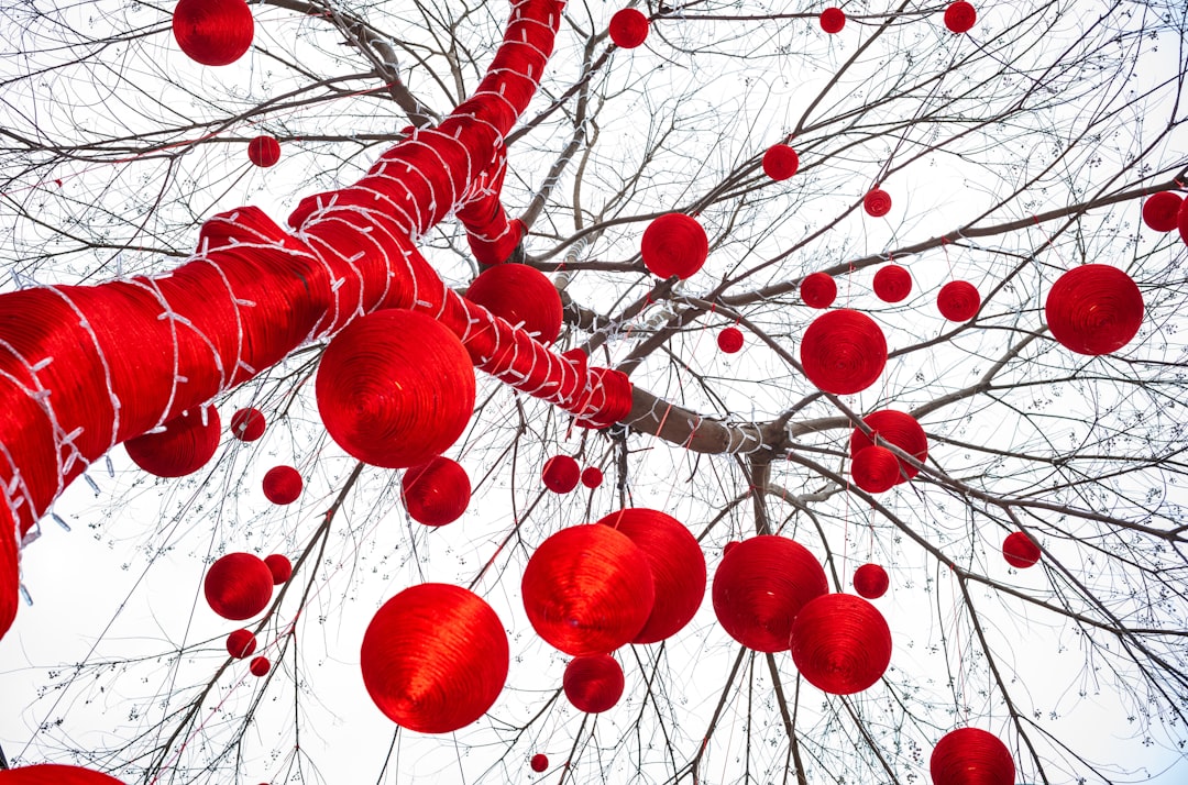 Brain Development Continues Until Age 32, Research Shows  