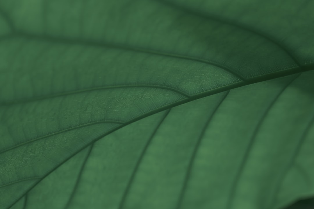 Cut Your Carbon Footprint: Simple Steps for 2025