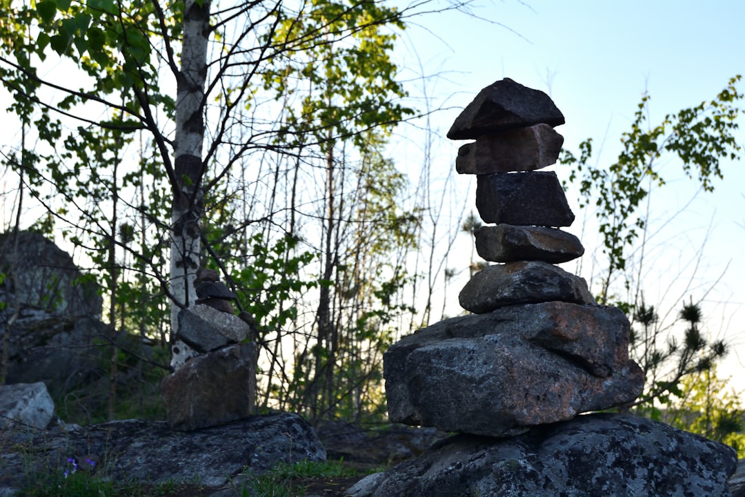 # Man Keeps Rock For Years, Hoping It's Gold. It Turned Out to Be Way More Valuable. - ScienceAlert