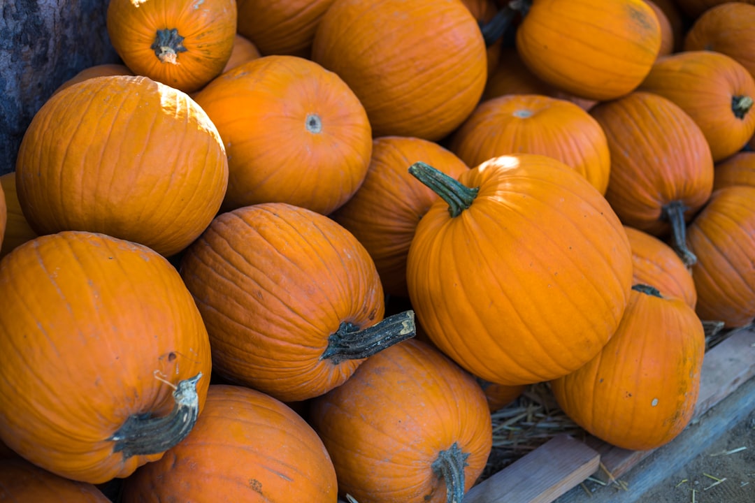 Thanksgiving Sees Increase in Unemployment Claims  