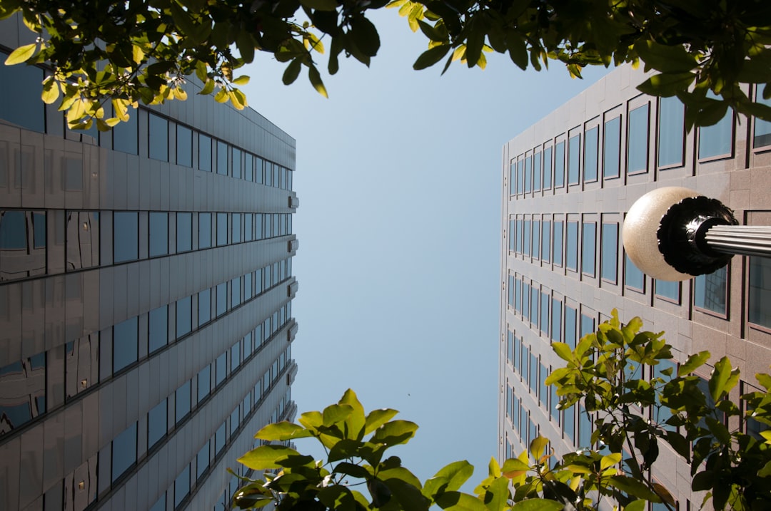 How ESG Factors Are Shaping Investment Trends