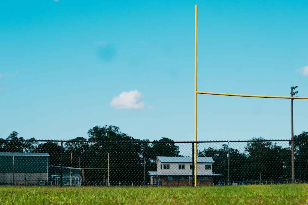 Updated NFL Playoff Chances: Who Can Clinch Spots?