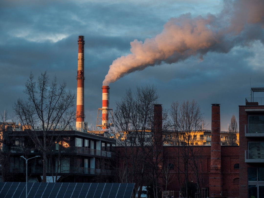 Practical Tips for Reducing Carbon Emissions