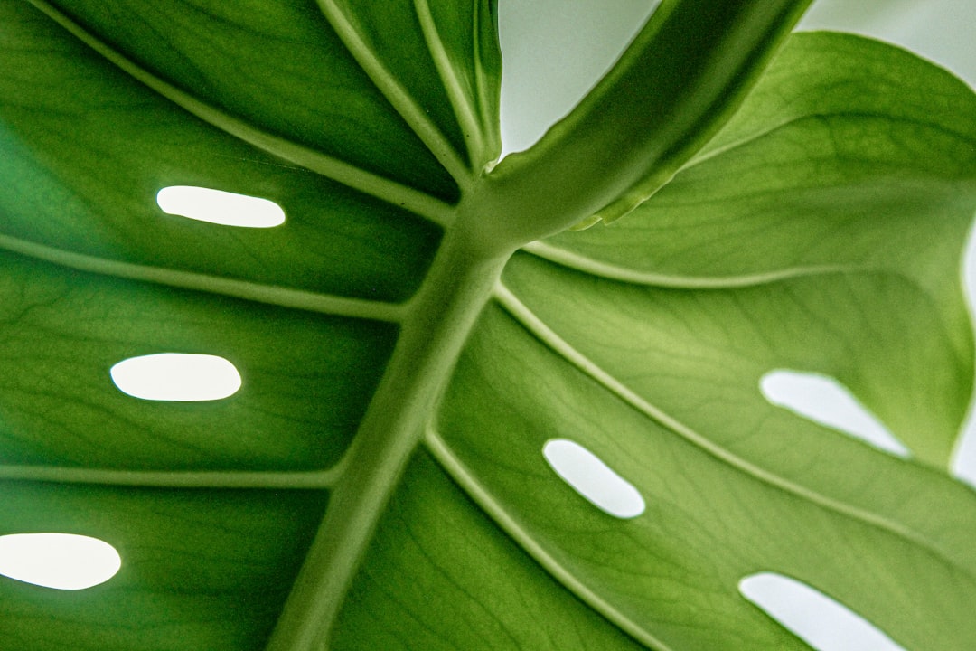 Cut Your Carbon Footprint: Simple Steps for 2025