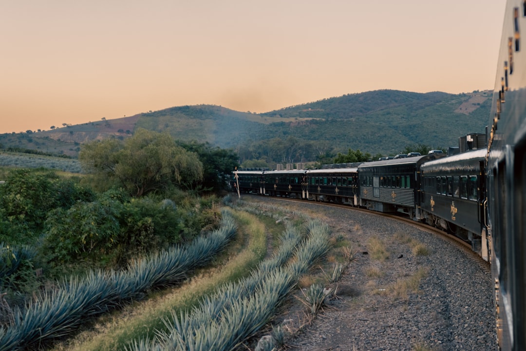 Fatal Train Crash in Mexico: 13 Dead, Many More Injured