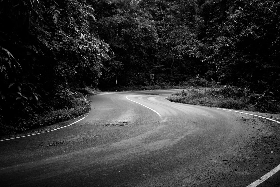 Slow Living: A Path to Better Focus and Efficiency