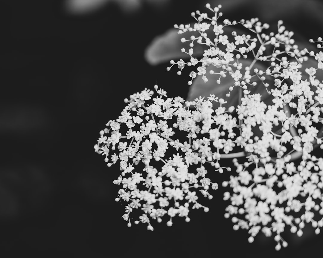 CRISPR Explained: How Gene Editing Works (2026)