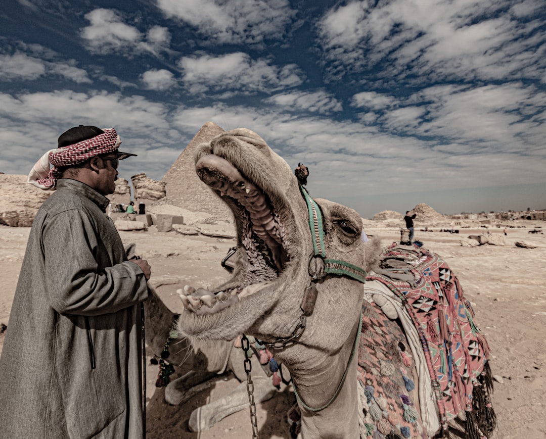 The Rise of Digital Nomads in the US Workforce (2026)