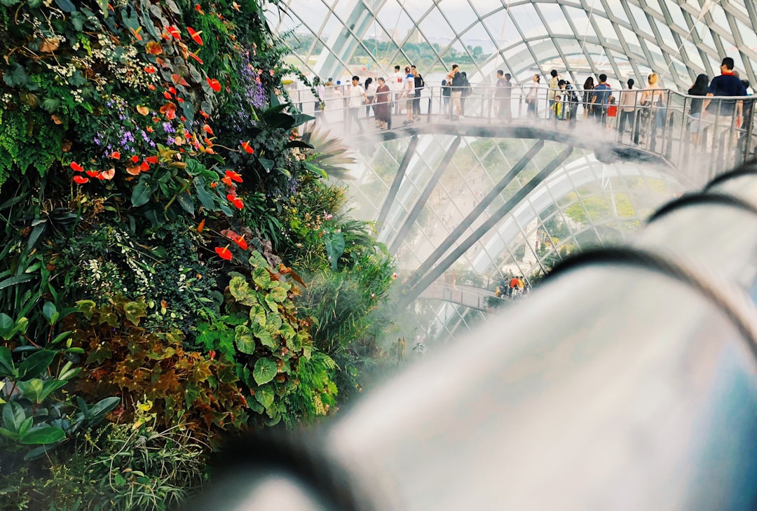 Green Travel: Practical Steps for Eco-Conscious Trips