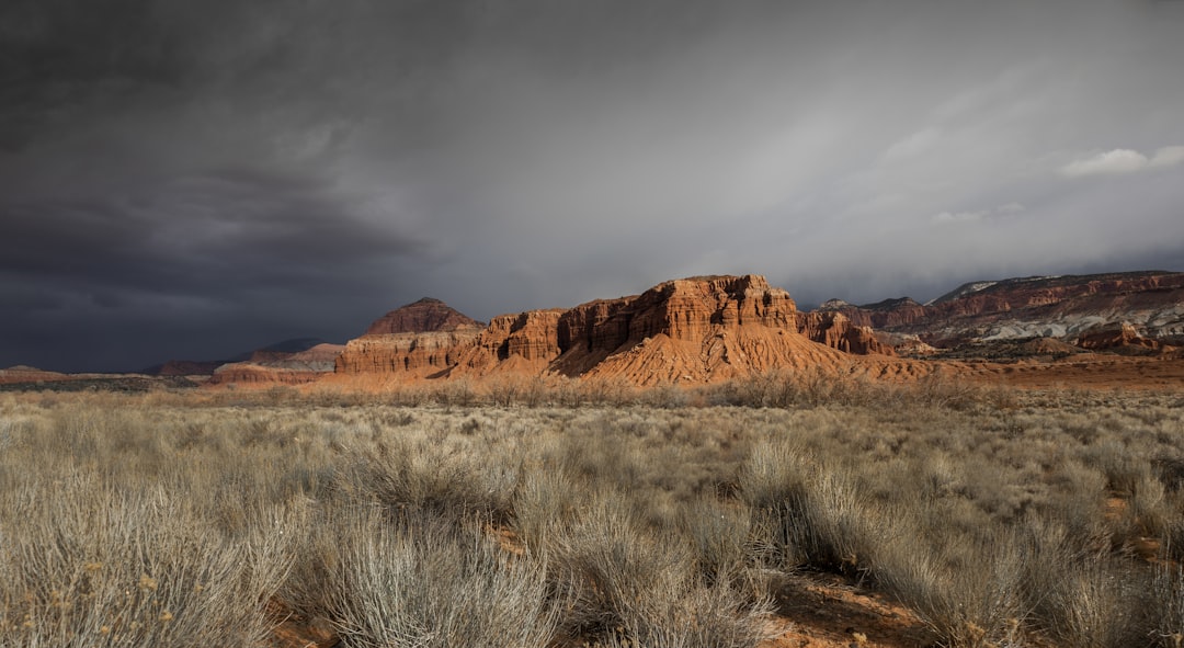 # Utah Flash Flood Claims Fire Captain's Family