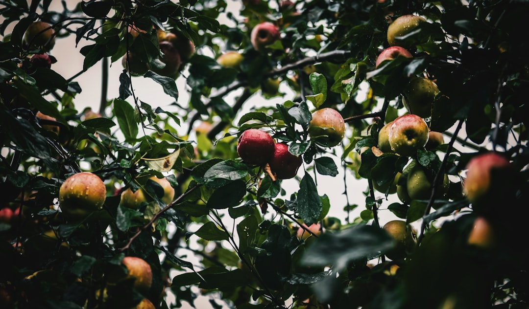 No, You Shouldn’t Avoid Fruits and Vegetables Due to Cyclospora - Consumer Reports  