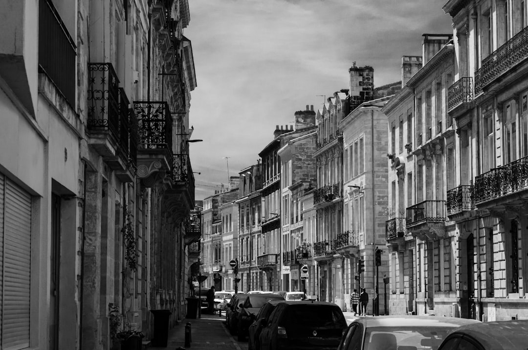 Impact of Bordeaux Fires on France's Wine Sector  