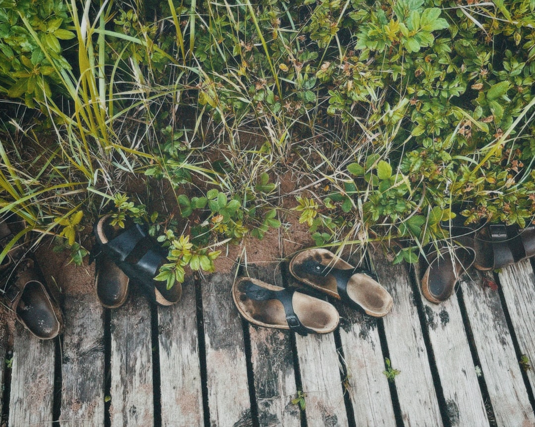 Sustainable Travel: Minimize Your Footprint